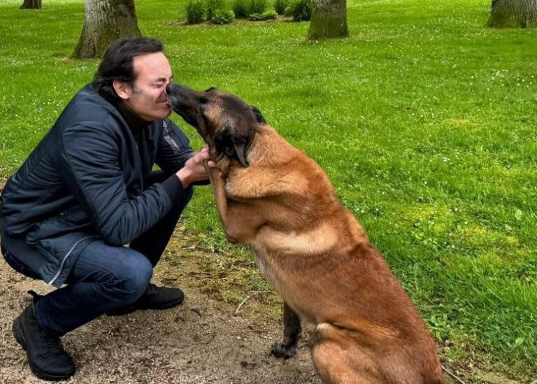 “Pas d’inquiétude pour Loubo”: les nouvelles sont rassurantes pour l’avenir du chien d’Alain Delon